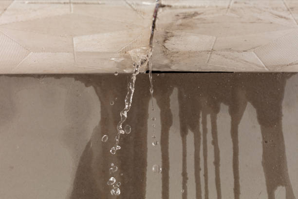 Professional Sewage Cleanup technician working in Hereford, CO